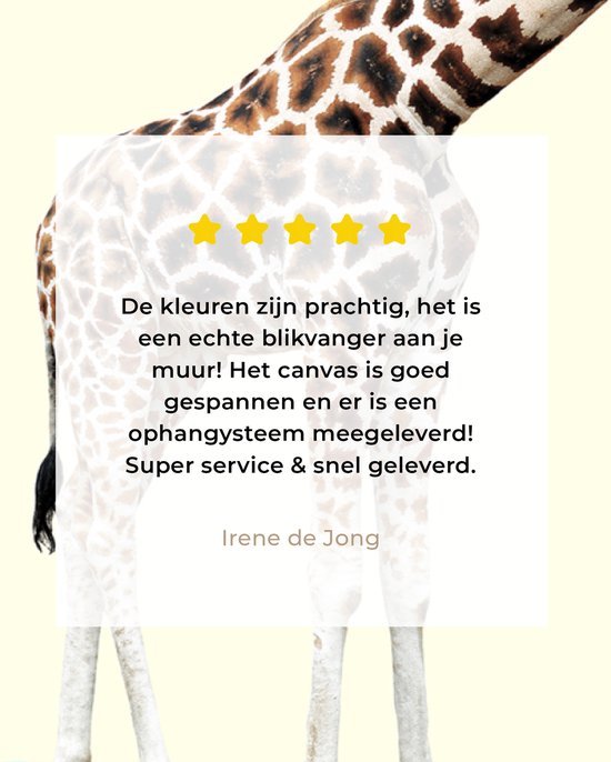 Canvas schilderij - Foto op canvas- Giraffe - Patroon - Skateboard - Roze - Dieren - 120x90 cm - Wanddecoratie