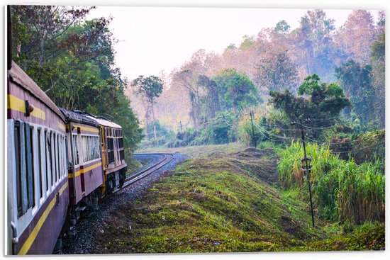 WallClassics - Panneau en mousse PVC – Train thaïlandais à travers la réserve naturelle verte en Thaïlande – Photo 60 x 40 cm sur panneau en mousse PVC (avec système de suspension)