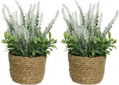 Everlands Lavande plante artificielle en panier - 2x - blanc - D12 x H26 cm