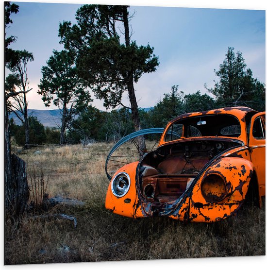 Dibond - Kapotte Oranje Auto in landschap - 100x100 cm Foto op Aluminium (Met Ophangsysteem)