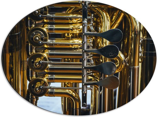 Dibond Ovaal - Knoppen van Gouden Trompet - 56x42 cm Foto op Ovaal (Met Ophangsysteem)