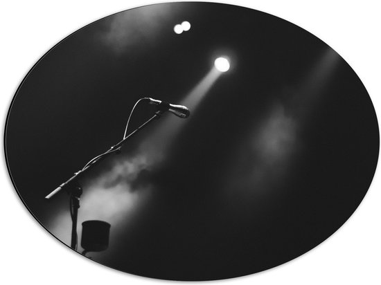 Dibond Ovaal - Microfoon bij Rook en Podiumlampen (Zwart- wit) - 56x42 cm Foto op Ovaal (Met Ophangsysteem)