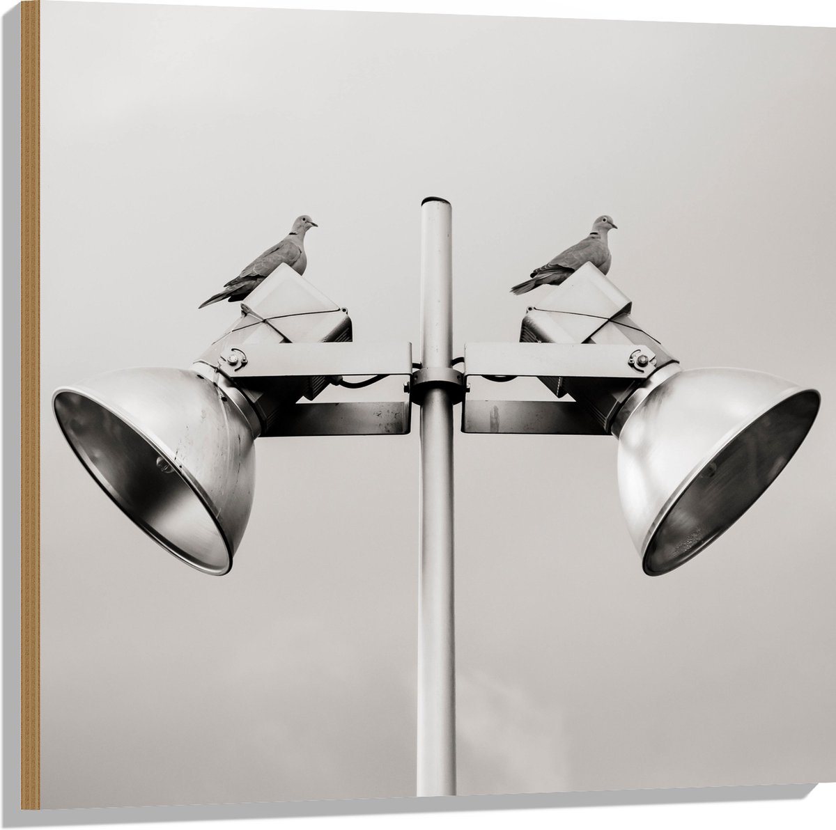 Hout - Grote Speakers op Paal - 80x80 cm - 9 mm dik - Foto op Hout (Met Ophangsysteem)