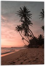 WallClassics - Acrylglas - Groepje Hoge Palmbomen op het Strand bij Zonsondergang - 40x60 cm Foto op Acrylglas (Met Ophangsysteem)