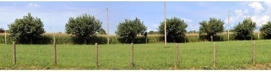 Ronde Palen Hout ge√Ømpregneerd 7x200cm
