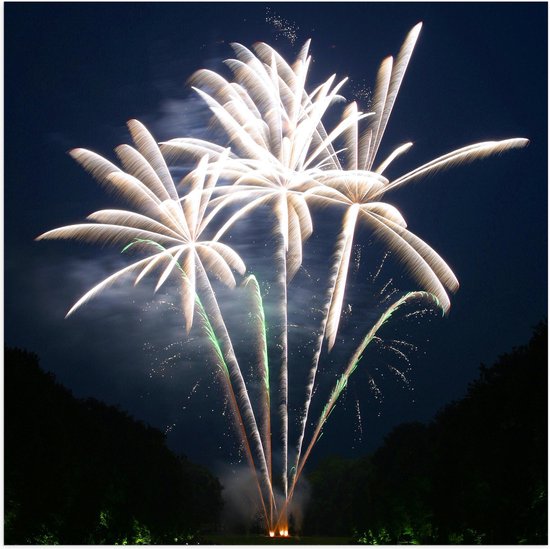 Poster Glanzend – Vuurwerkshow tussen de Bomen - 50x50 cm Foto op Posterpapier met Glanzende Afwerking