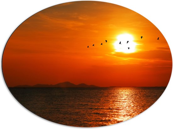 Dibond Ovaal - Silhouet van Zwerm Vogels bij Zonsondergang boven de Zee - 80x60 cm Foto op Ovaal (Met Ophangsysteem)