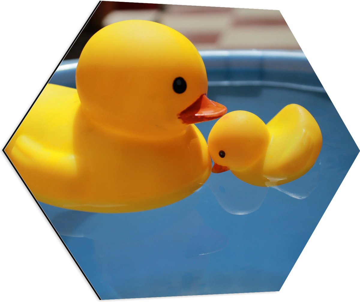Dibond Hexagon - Moeder en Baby Badeenden in het Water - 70x60.9 cm Foto op Hexagon (Met Ophangsysteem)