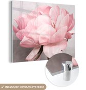 MuchoWow® Glasschilderij 120x90 cm - Schilderij acrylglas - Bloemen - Roze - Natuur - Plant - Foto op glas - Schilderijen