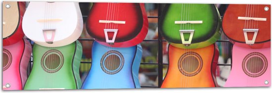 Tuinposter – Verschillende Kleuren Mini Gitaren - 120x40 cm Foto op Tuinposter (wanddecoratie voor buiten en binnen)
