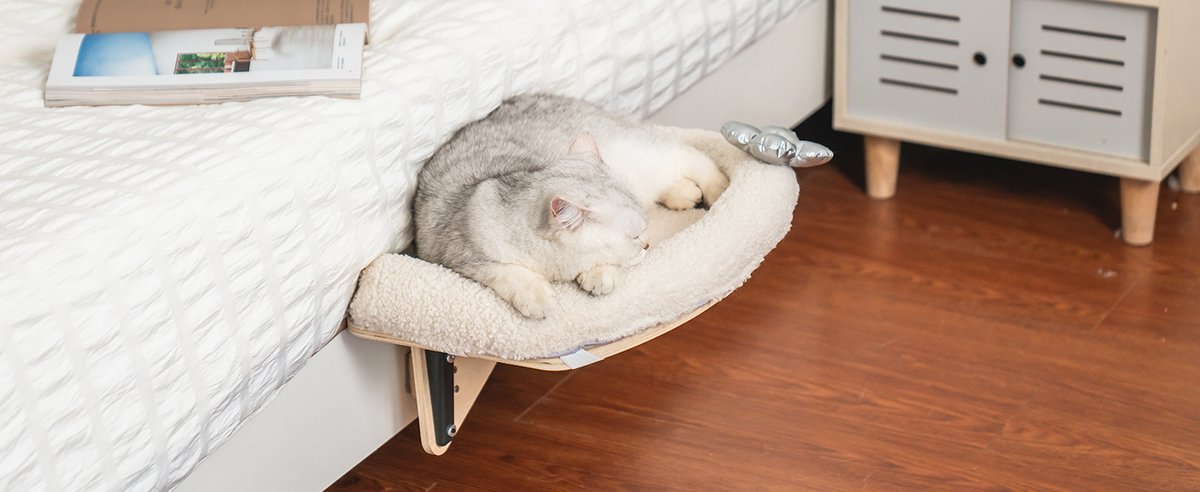 MEWOOFUN Zachte raamhangmat voor katten, 54 x 30 cm, opvouwbaar