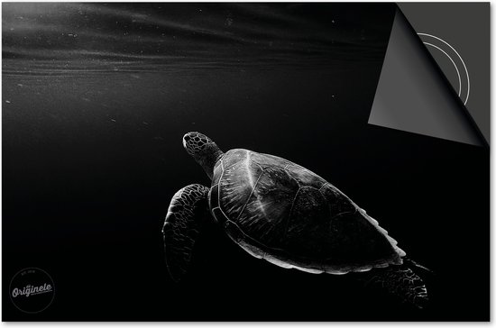 Protecteur induction 83x51,5 - plaque de couverture tapis induction - Protecteur de plaque Dietrix - Base - Zwart - Tortue