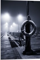 PVC Schuimplaat - Reddingsboei met Bankjes in het Zwart Wit - 50x75 cm Foto op PVC Schuimplaat (Met Ophangsysteem)