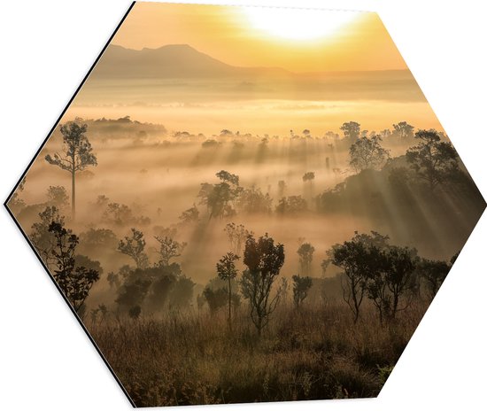 Dibond Hexagon - Zonnestralen Schijnend over de Bergtoppen in het Landschap - 60x52.2 cm Foto op Hexagon (Met Ophangsysteem)