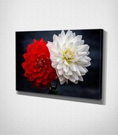 Red And White Flowers Canvas - 60 x 40 cm - Bloemen - Schilderij - Canvas - Slaapkamer - Wanddecoratie  - Slaapkamer - Foto op canvas