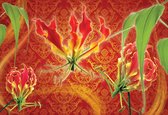 Papier peint Fleurs Floral | XL - 208 cm x 146 cm | Polaire 130g / m2