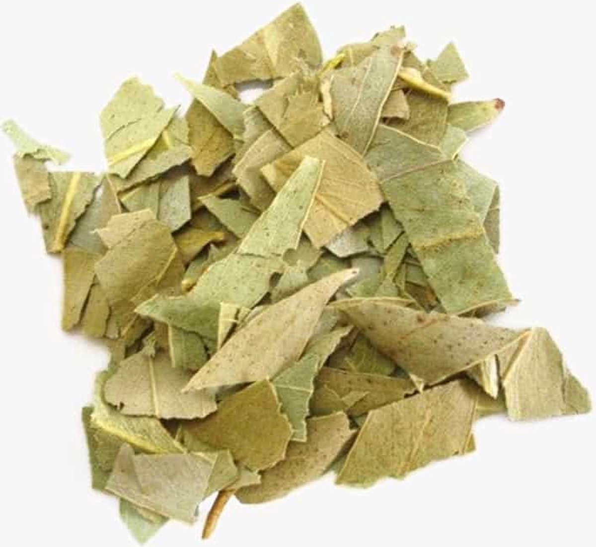 Eucalyptus Bladeren - 100 gr