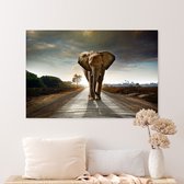 Aluminium Schilderij Walking Elephant