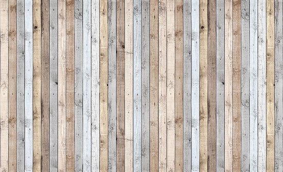 Fotobehang - Vlies Behang - Gekleurde Houten Planken - 416 x 254 cm |  bol.com