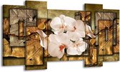 GroepArt - Schilderij - Orchidee - Bruin, Crème - 120x65 5Luik - Foto Op Canvas - GroepArt 6000+ Schilderijen 0p Canvas Art Collectie - Wanddecoratie