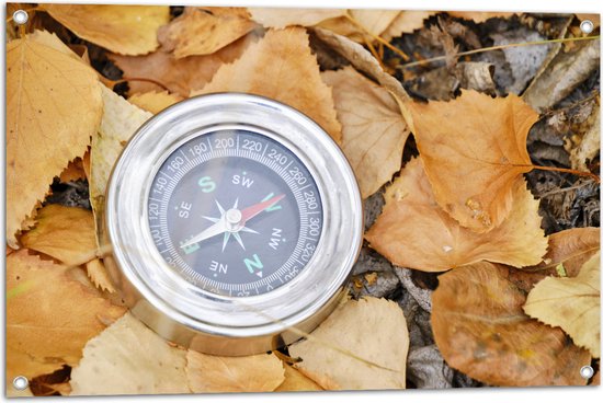 WallClassics - Tuinposter – Traditioneel Kompas op Stapel Herfstbladeren - 90x60 cm Foto op Tuinposter (wanddecoratie voor buiten en binnen)