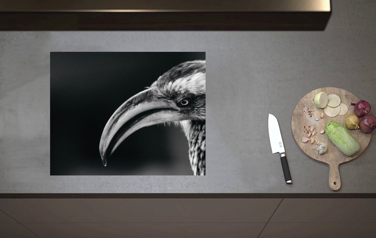 Inductieplaat Beschermer - Zijaanzicht van Booskijkende Neushoornvogel (Zwart- wit) - 60x52 cm - 2 mm Dik - Inductie Beschermer van Vinyl