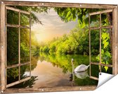 Gards Tuinposter Doorkijk Zwaan op het Water in het Bos - 120x80 cm - Tuindoek - Tuindecoratie - Wanddecoratie buiten - Tuinschilderij
