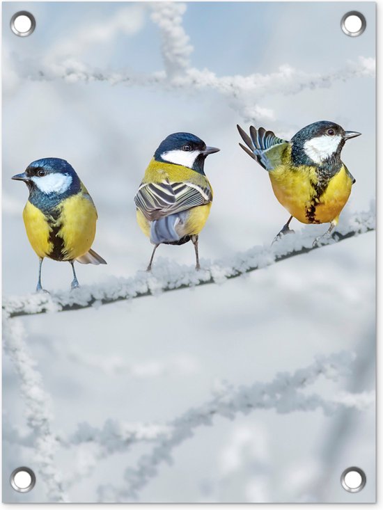 Tuin Decoratie Vogel Koolmees Winter Sneeuw Takken 30x40 Cm tuin-decoratie-vogel-koolmees-winter-sneeuw-takken-30x40-cm