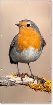 Affiche de clôture Robin - Vogel - Branche - Animaux - 100x200 cm - Toile de jardin