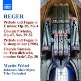 Martin Welzel - Organ Works Volume 10 (CD)