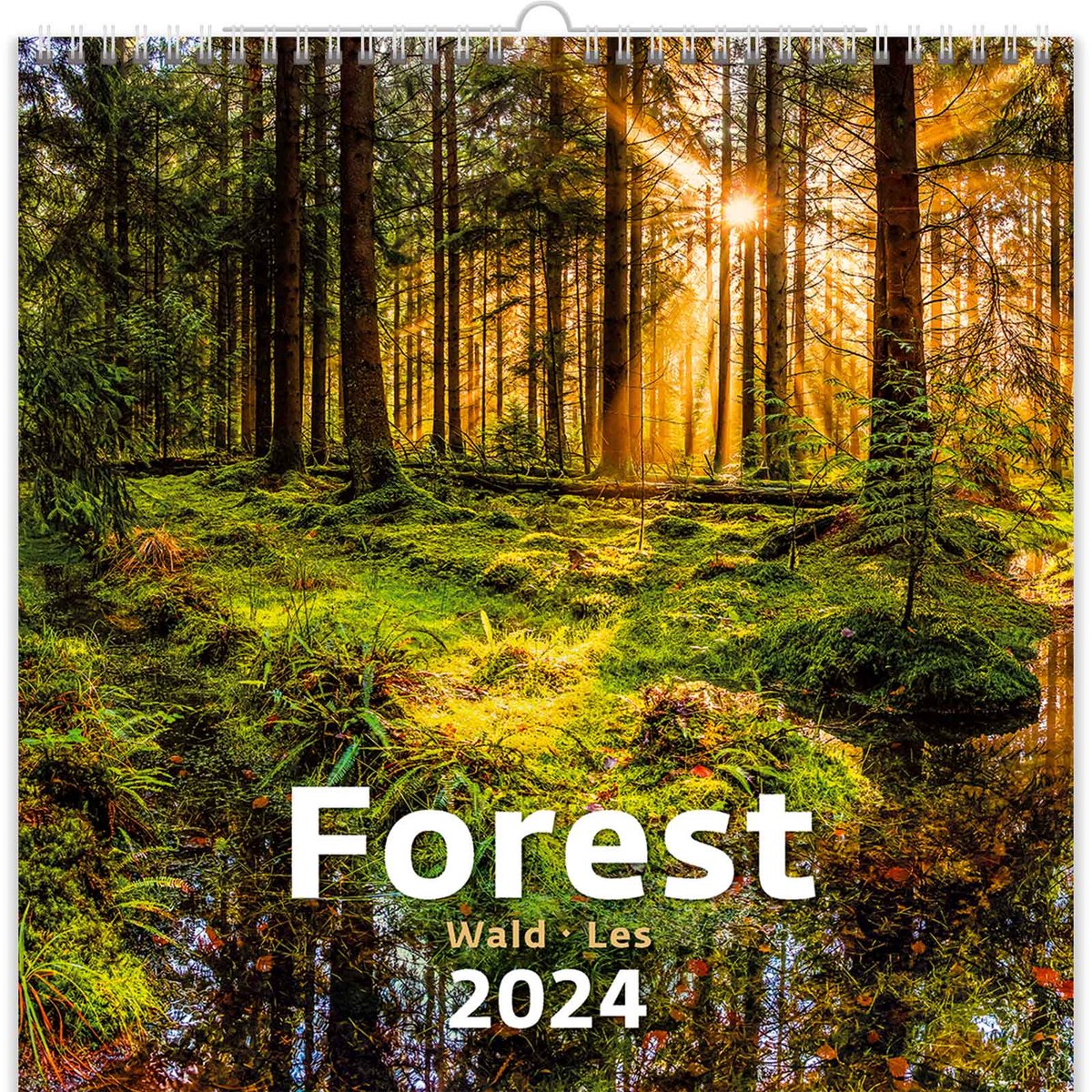 C166-24 Calendrier 2024 Forêt