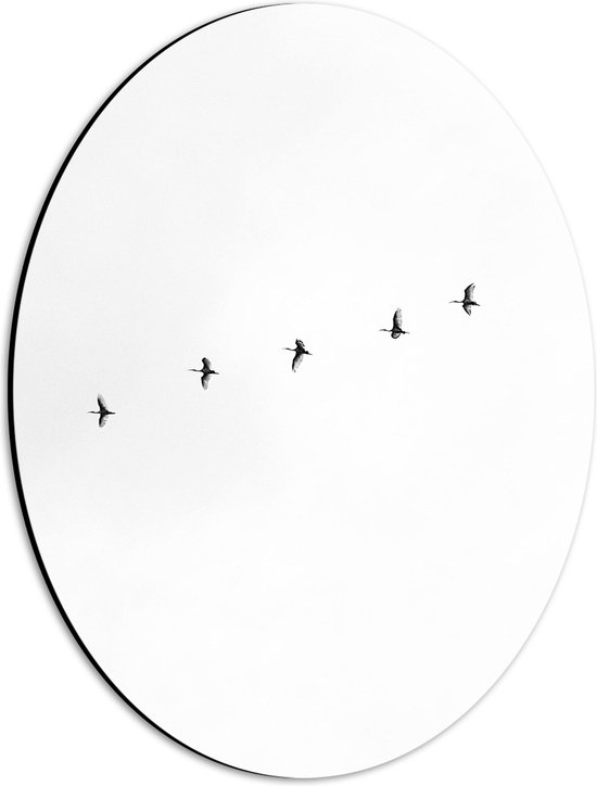 WallClassics - Dibond Ovaal - Zwarte Vogels Vliegend in Lijn op Witte Achtergrond - 30x40 cm Foto op Ovaal (Met Ophangsysteem)