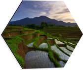 Dibond Hexagon - Volgeregende Rijstvelden in de Bergen van Indonesië - 30x26.1 cm Foto op Hexagon (Met Ophangsysteem)