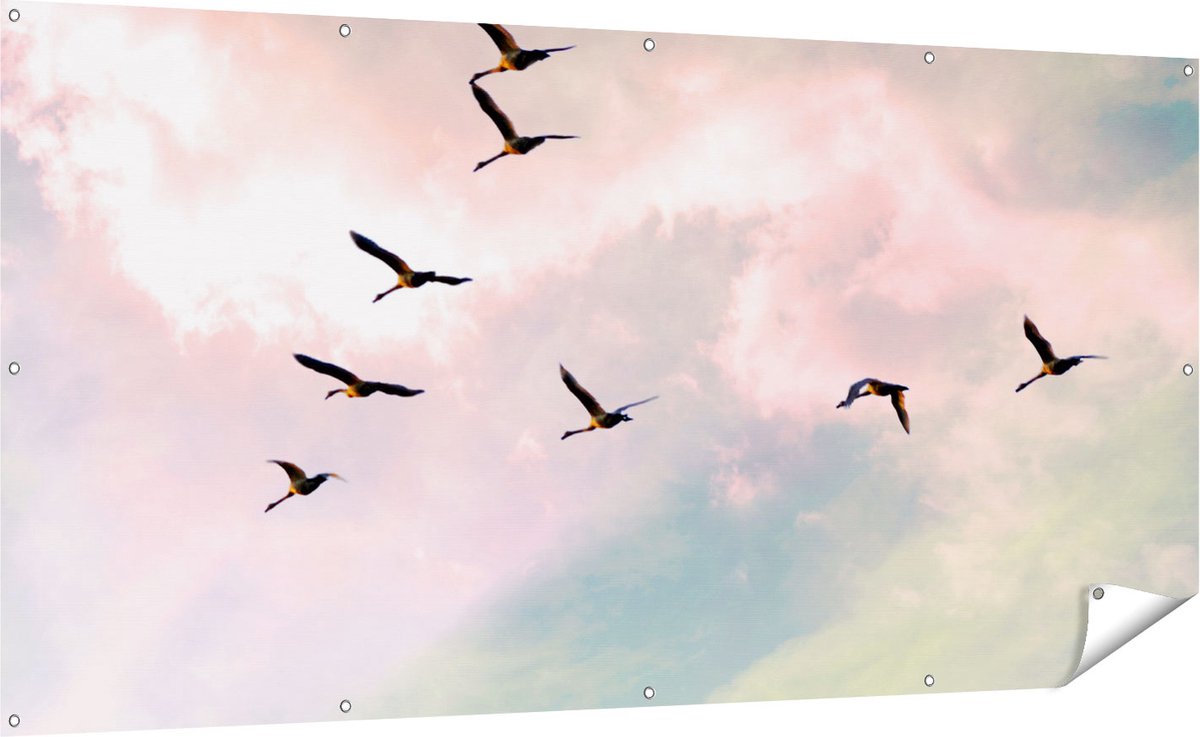 Gards Tuinposter Groep Vogels Vliegen Boven het Gras - 200x100 cm - Tuindoek - Tuindecoratie - Wanddecoratie buiten - Tuinschilderij Multikleur