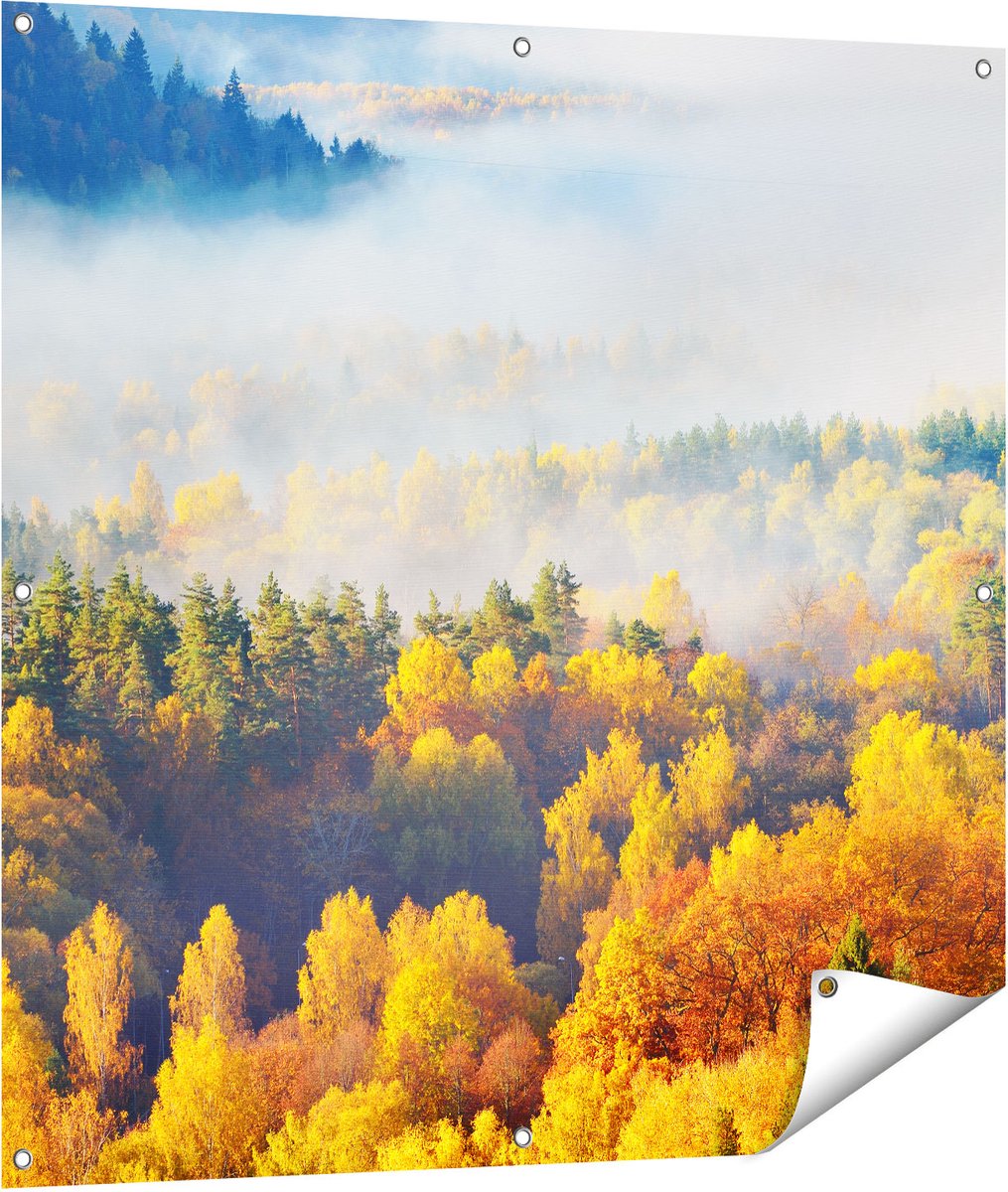 Gards Tuinposter Gekleurde Herfstbos met Mist - 100x100 cm - Tuindoek - Tuindecoratie - Wanddecoratie buiten - Tuinschilderij Multikleur