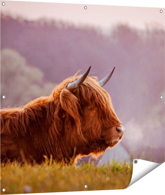 Tuinposter | Schotse Hooglander | Bergen | Highlander | Liggend