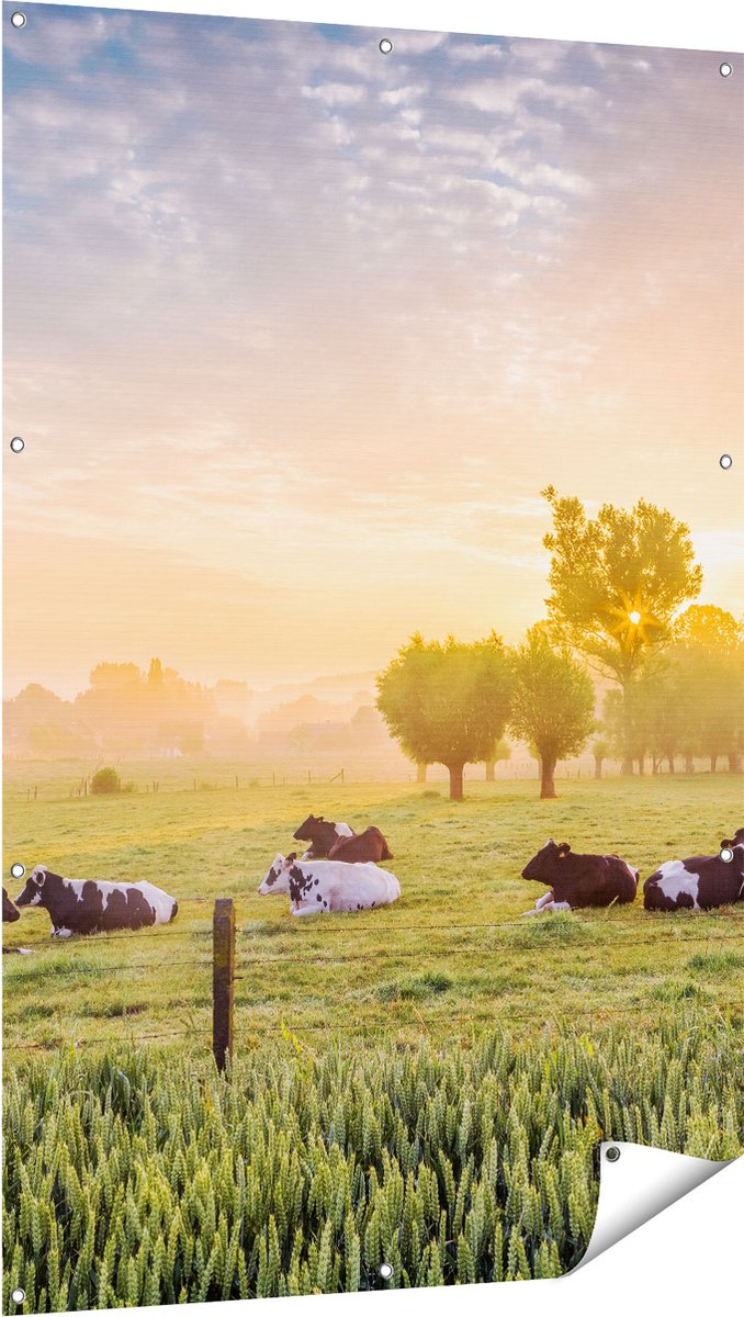 Gards Tuinposter Koeien in de Wei tijdens Zonsopgang - 100x150 cm - Tuindoek - Tuindecoratie - Wanddecoratie buiten - Tuinschilderij Multikleur