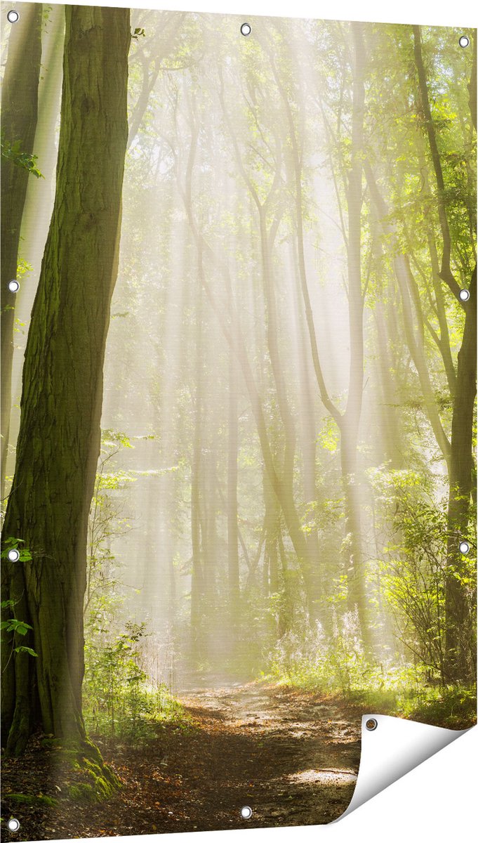 Gards Tuinposter Bos met Bomen en Zonneschijn - 80x120 cm - Tuindoek - Tuindecoratie - Wanddecoratie buiten - Tuinschilderij Multikleur