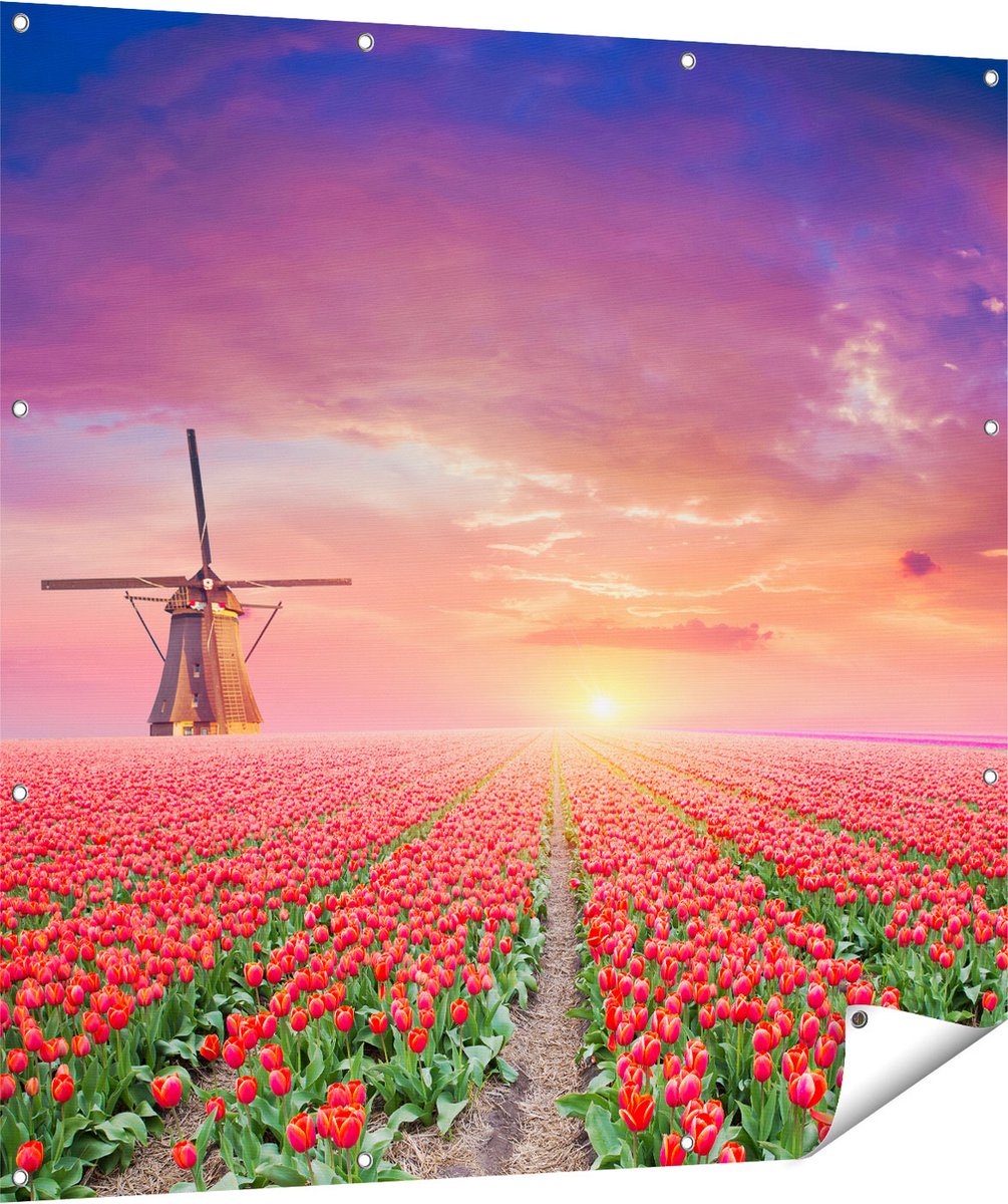 Gards Tuinposter Rode Rozen Bloemenveld met een Windmolen - 120x120 cm - Tuindoek - Tuindecoratie - Wanddecoratie buiten - Tuinschilderij Multikleur