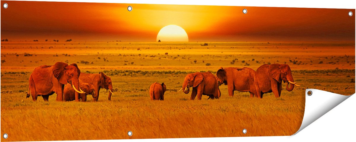 Gards Tuinposter Olifanten in het Wild - Zonsondergang - 150x50 cm - Tuindoek - Tuindecoratie - Wanddecoratie buiten - Tuinschilderij Multikleur
