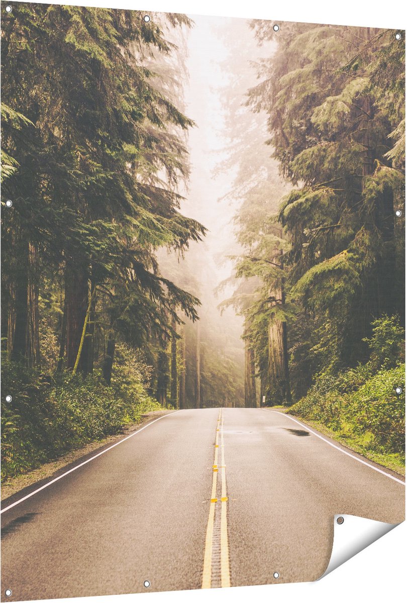Gards Tuinposter Highway in Californië Omring met Bos - 120x150 cm - Tuindoek - Tuindecoratie - Wanddecoratie buiten - Tuinschilderij Multikleur