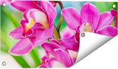 Gards Tuinposter Licht Paarse Orchidee Bloemen - 60x30 cm - Tuindoek - Tuindecoratie - Wanddecoratie buiten - Tuinschilderij