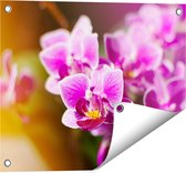 Gards Tuinposter Paarse Orchidee Bloemen - 50x40 cm - Tuindoek - Tuindecoratie - Wanddecoratie buiten - Tuinschilderij