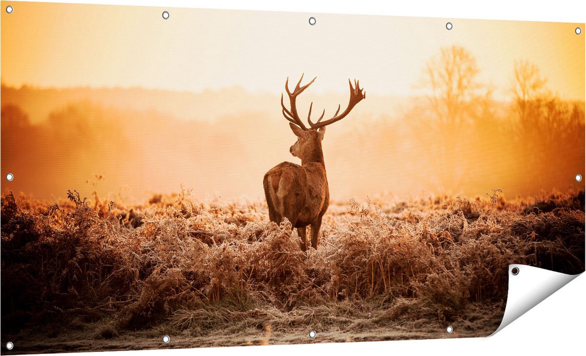 Gards Tuinposter Hert in de Wei tijdens de Zonsopkomst - 160x80 cm - Tuindoek - Tuindecoratie - Wanddecoratie buiten - Tuinschilderij Multikleur