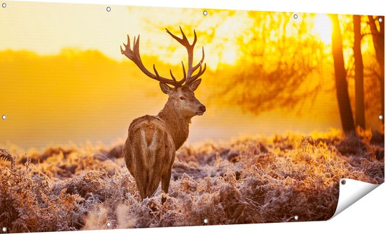 Gars Affiche jardin Cerf en forêt au lever du soleil - 180x90 cm - Toile jardin - Décoration de jardin - Décoration murale extérieur - Tableau jardin