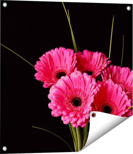 Gards Tuinposter Roze Gerbera Bloemen - 60x60 cm - Tuindoek - Tuindecoratie - Wanddecoratie buiten - Tuinschilderij