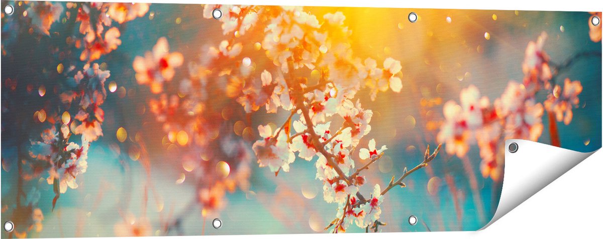 Gards Tuinposter Bloesemboom tijdens Zonsondergang - Bloem - 120x40 cm - Tuindoek - Tuindecoratie - Wanddecoratie buiten - Tuinschilderij Multikleur