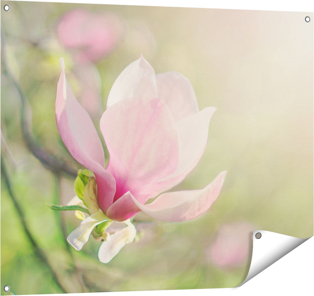 Gards Tuinposter Roze Magnolia Bloem - 100x80 cm - Tuindoek - Tuindecoratie - Wanddecoratie buiten - Tuinschilderij Multikleur