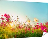 Gards Affiche de jardin Kosmos Champ de Fleurs avec Soleil Levant - 180x120 cm - Toile de jardin - Décoration de jardin - Décoration murale extérieure - Tableau de jardin