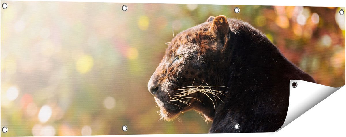 Gards Tuinposter Zwarte Panter vanaf de Zijkant - 120x40 cm - Tuindoek - Tuindecoratie - Wanddecoratie buiten - Tuinschilderij Multikleur